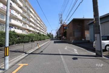 敷地南側の前面道路（西側から）
