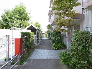 ７号棟の北側の通路と駐輪場