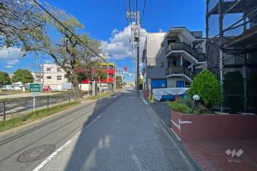 敷地北側の前面道路（西側から）