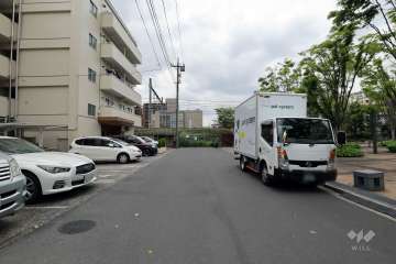 敷地の北側前面道路（西側から）