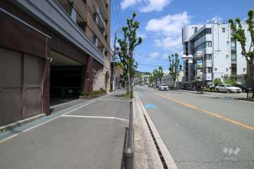 敷地東側の前面道路