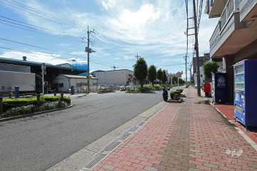 敷地南側の前面道路（東側から）