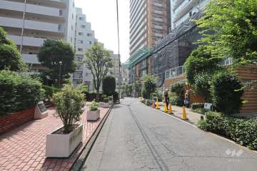 敷地の北側前面道路（東側から）