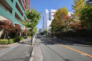 敷地南側の前面道路