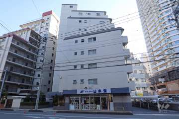 ハイネス川口の外観（北側から）