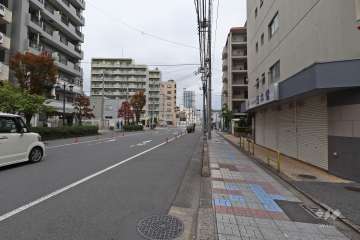 敷地北側の前面道路（西側から）