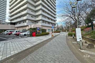 敷地東側の前面道路（南側から）
