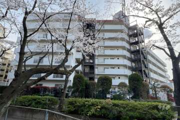 サンライフ根岸の外観（北側から）