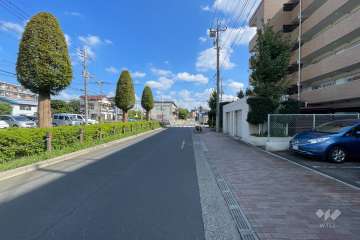 敷地の東側前面道路（北側から） 