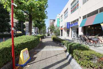 敷地南側の前面道路