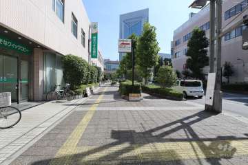 敷地南側の前面道路　
