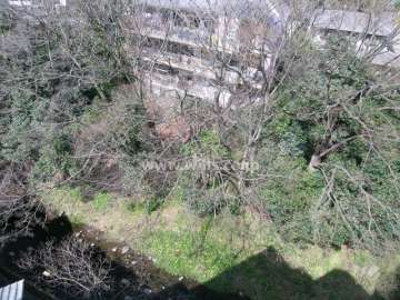 川沿いは木々が茂り緑豊か。川に面してウッドデッキがあります。