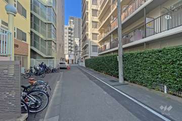 敷地の西側前面道路（南側から）