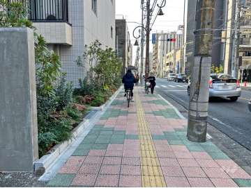 敷地北側の前面道路（東側から）