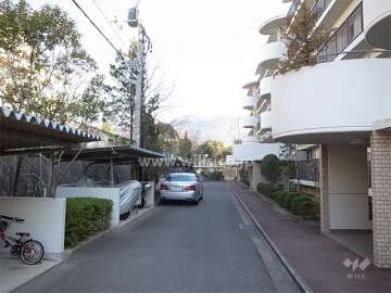 2号棟の北側通路と駐輪場