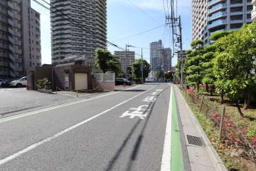 敷地の西側前面道路（南側から）