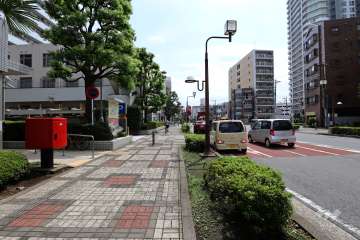 敷地西側の前面道路（北側から）