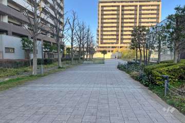 敷地東側の前面道路　