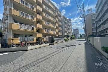 敷地の西側前面道路（北側から）