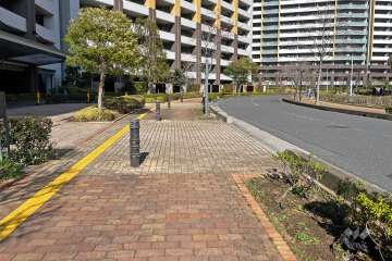 敷地の南側前面道路（西側から）