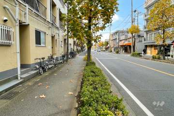 敷地北側の前面道路