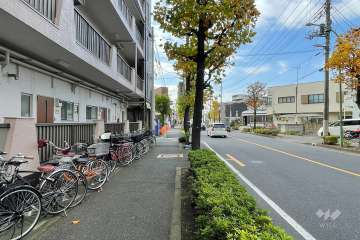 敷地北側の前面道路