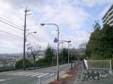 東側には五月山が見えます