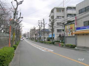 敷地北側は街路樹のきれいなバス通り