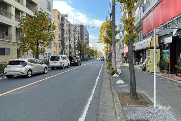 敷地南側の前面道路　