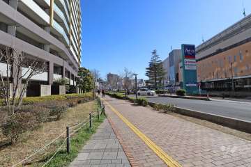 敷地南西側の前面道路（北西側から）