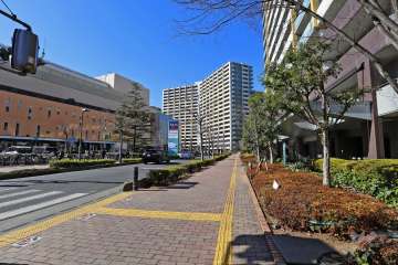 敷地南西側の前面道路（南東側から）