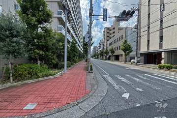 敷地北東側の前面道路（北西側から）
