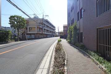 敷地東側の前面道路　