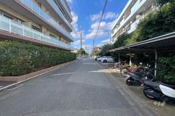 敷地東側の前面道路　