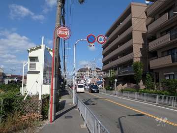 敷地西側の前面道路。二車線のバス通りです。
