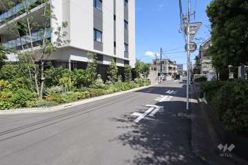 敷地南側の前面道路（西側から）