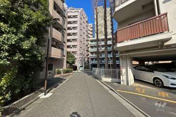 敷地西側の前面道路（南側から）