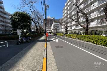 敷地南側の前面道路（東側から）