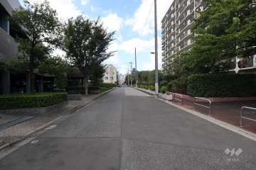 敷地北東側の前面道路（南東側から）