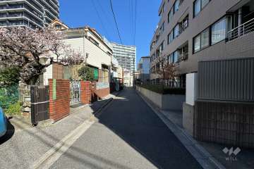 敷地の西側前面道路（南側から）