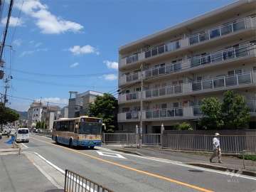 敷地西側はバス通りに面しています。