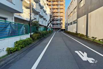 敷地南側の前面道路（西側から）