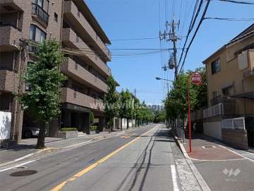 敷地南東側の前面道路。二車線のバス通りで、目の前にバス停があります。