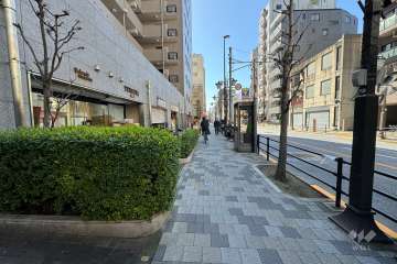 敷地北西側の前面道路（北東側から）