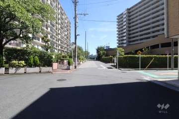敷地南西側の前面道路