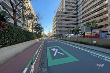 敷地東側の前面道路（北側から）