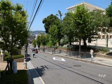 敷地北側の前面道路。道を挟んで五月丘小学校があります。