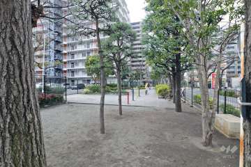 敷地内の広場
