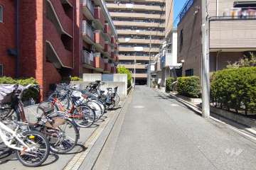 敷地の東側前面道路（南側から）