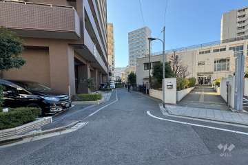 敷地の西側前面道路（北側から）